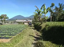 Dijual tanah kebun view gunung bukit sangat cantik di bali