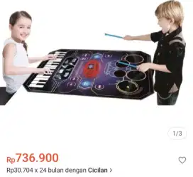 Zippy Mat 2in I music jam playmat