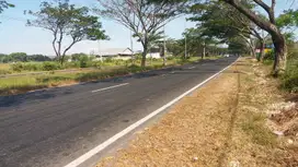 Tanah murah jalan raya suramadu