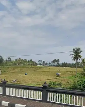 Jual tanah 5950 m2 loos pantai di dekat balian beach