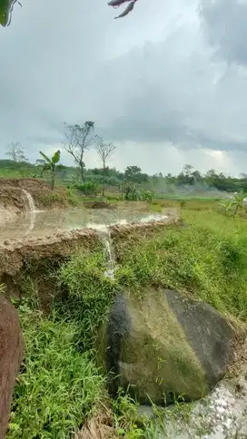 anah Sawah 1,3 Ha Dekat Objek Wisata Bojong Purwakarta