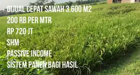 Jual Cepat Sawah Cibatu Purwakarta 3600 m2