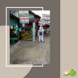 Jaga Lapak kelapa