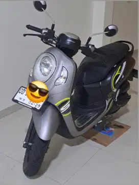 Honda Scoopy Sporty 2024