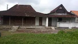 Disewakan rumah