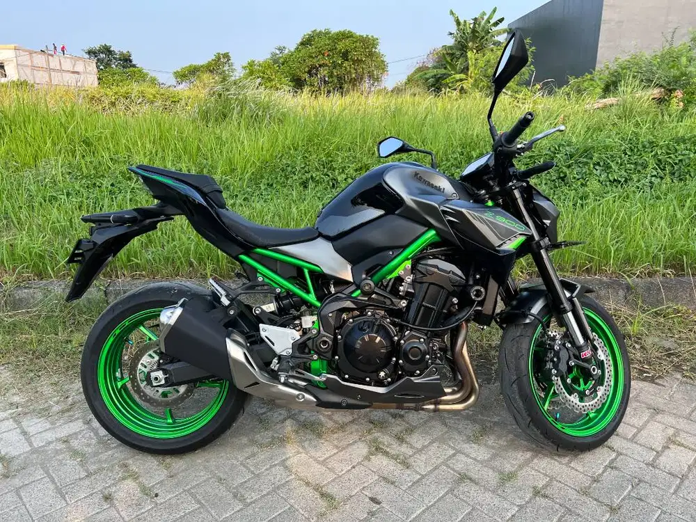 Kawasaki Z900 Facelift 2024