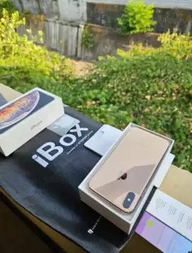 Iphone Xs Max 256 GB iBox Kondisi Masih Bagus Dan Siap Pakai