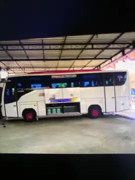 Bus isuzu adiputro 2017 NQR71