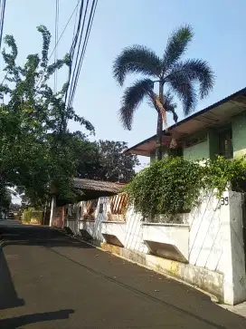 JUAL CEPAT! RUMAH BESAR DI JL.PENDIDIKAN BINTARO, JAKARTA SELATAN