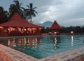 Hotel Aktif Bintang Banyuwangi Ijen 1,9 jt per m2