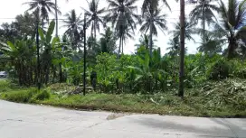 DI JUAL TANAH DEPAN JALAN LINTAS PROVINSI UTAMA