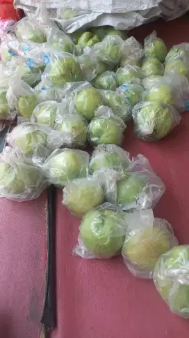 Jambu kristal asli dari kebumen