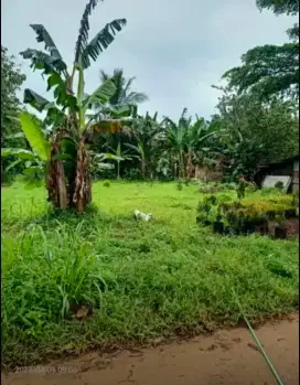 Tanah Vila Dago Cluster Maribaya Blok E