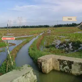 Di jual tanah sawah shm atas nama sendiri