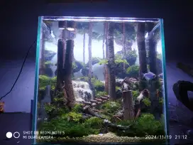 Aquarium Aquascape minimalis