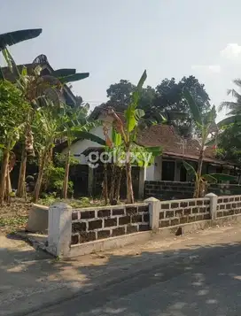 Tanah Bagus di Jogja Utara, Hanya 100 meter dari Jl.Magelang - WI