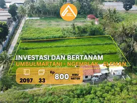 Jual Tanah Bu Ngemplak Sleman Investasi dan Bertanam