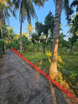 tanah kebun kelapa dekat pantai