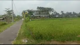 Dijual Tanah Pekarangan Di Jalan Joglo Sawah