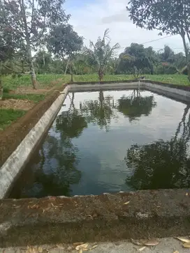 Di jual tanah kebun,kolam ikan di karang sidemen lombok tengah