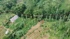 TANAH KEBUN BATURITI BEDUGUL TABANAN VIEW GUNUNG