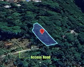 1.050 sqm with enchanting natural beauty for sale in Sebatu, Gianyar