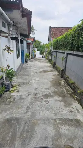 Dijual tanah komersil lokasi canggu