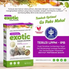 Bubur Lolohan Exotic 400.gram kotak untuk baby burung paruh benglok