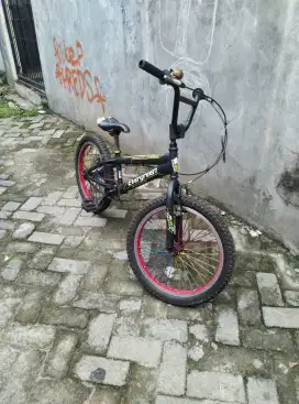 Sepeda BMX Evergreen Ring 20