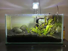 Aquarium Aquascape