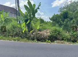 Tanah Murah View Sawah,Lokasi Strategis 10Menit Ke Pantai Seseh Canggu