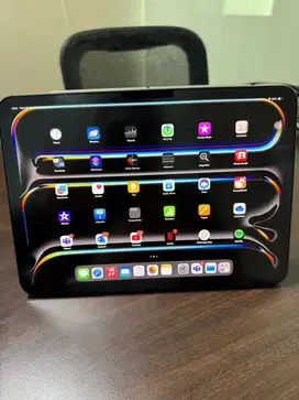 Ipad Pro M4 Garansi Internasional