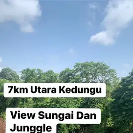 Tanah Kavling 7km  Utara Pantai Kedungu