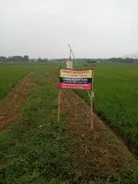 DIJUAL TANAH SAWAH