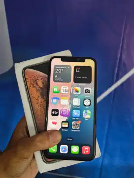 Iphone Xs 256 inter