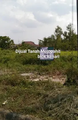 Dijual tanah mojopahit blok kenari