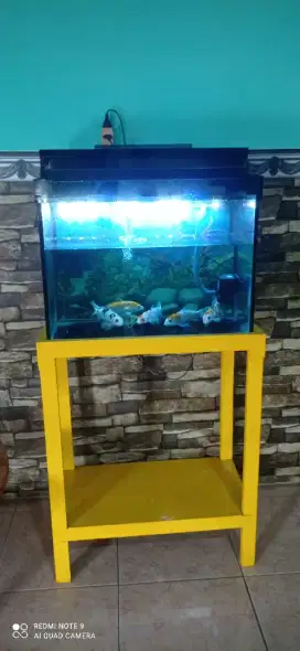 Jual aquarium komplit dan isinya ikan koi 6 ekor dan kaki aquarium