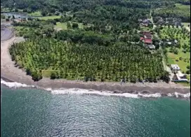 Tanah Los Pantai Melaya Jembrana Negara dekat Raya Denpasar Gilimanuk