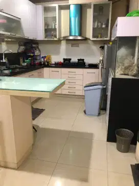 Kost murah. Bersih dan nyaman. Bisa bawa hewan