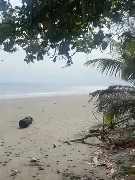 TANAH 60 ARE LOS PANTAI SUMBER SARI MELAYA, LINGKUNGAN VILA