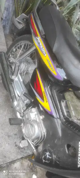 Astrea impressa