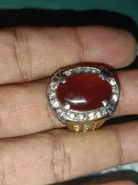 Red baron obral