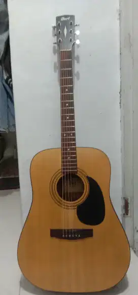 cort ad1080 0p akustik elektrik