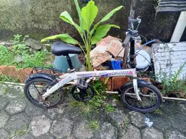 Sepeda anak ban 16