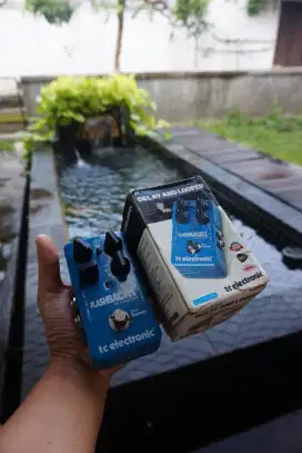 Tc Electronic Flashback Delay Pedal Dengan box