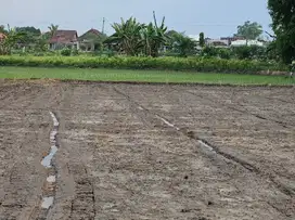 Tanah sawah termurah mobil masuk ke lokasi