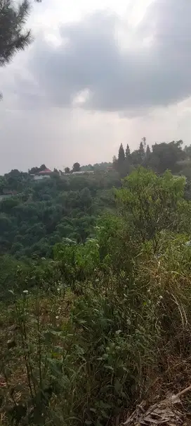 Jual Murah Tanah Villa View Keren  Punclut Dago