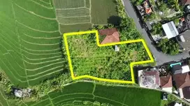 DIJUAL TANAH 11 ARE VIEW SAWAH