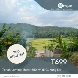 Tanah Lombok Barat 650 M² di Gunung Sari T699