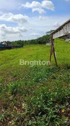 Tanah JUAL KARIANGAU